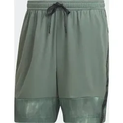 ADIDAS Herren Shorts WO AOP SHO, Größe S in Grün Grün