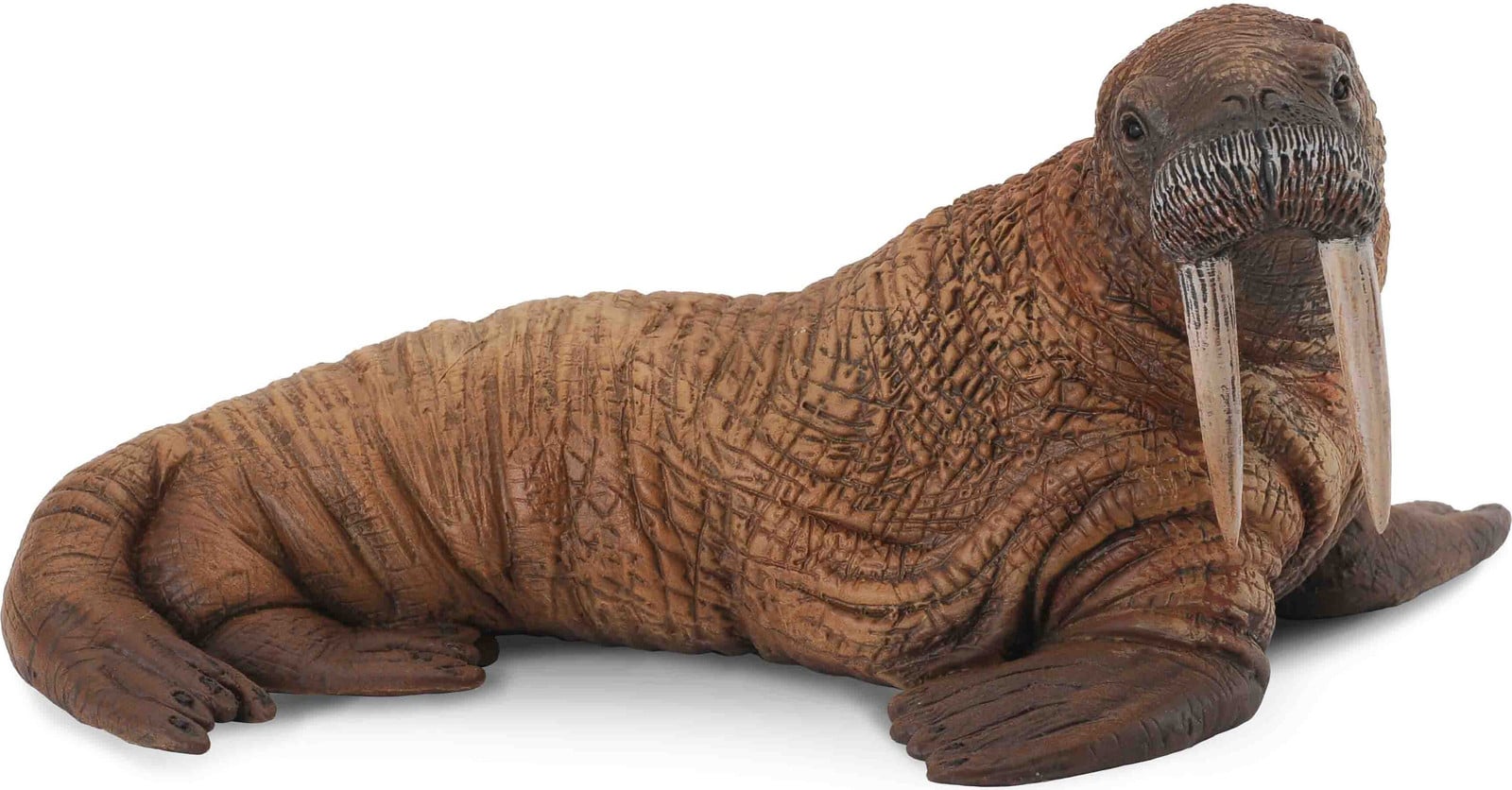 Collecta Walrus L Dierfiguur