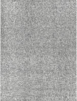 EXQUISITE RUGS Caprice Hand-tufted New Zealand Wool Black/Ivory Area Rug.
