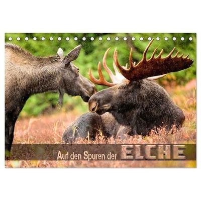 Auf den Spuren der Elche (Tischkalender 2027 DIN A5 quer), CALVENDO Monatskalender