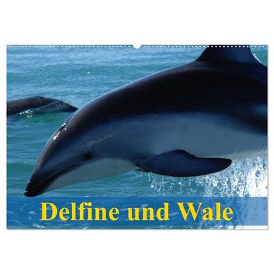 Delfine und Wale (Wandkalender 2027 DIN A2 quer), CALVENDO Monatskalender