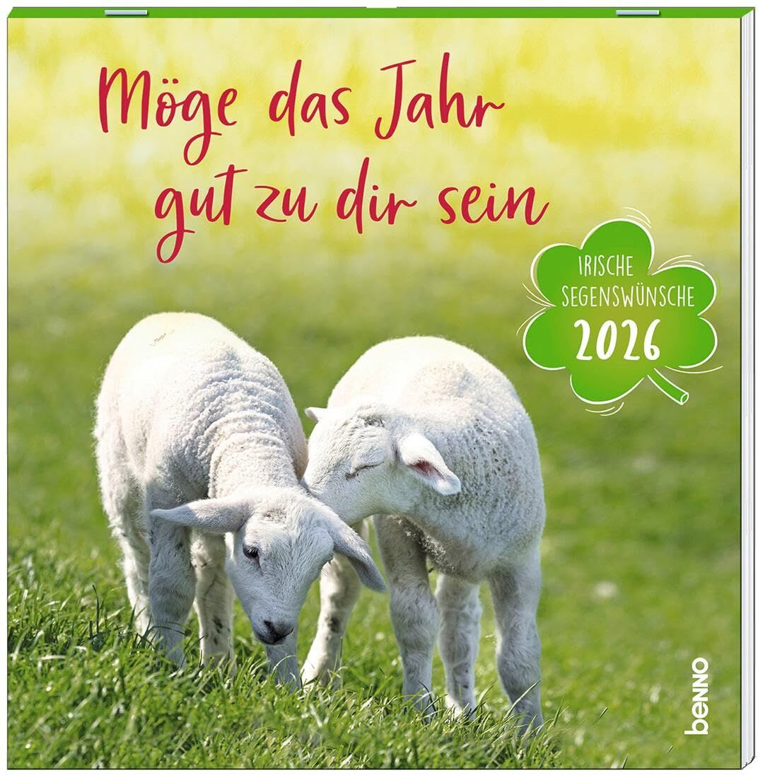 Möge das Jahr gut zu dir sein 2026: Irische Segenswünsche - Preis vom 30.09.2026 22:30:23 h