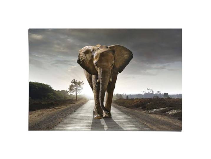REINDERS Poster, Elefant Wanderung, Home Office, Poster, Wanddeko, Room Decor, Bilderdruckpapier, Braun, 61 x 91,5