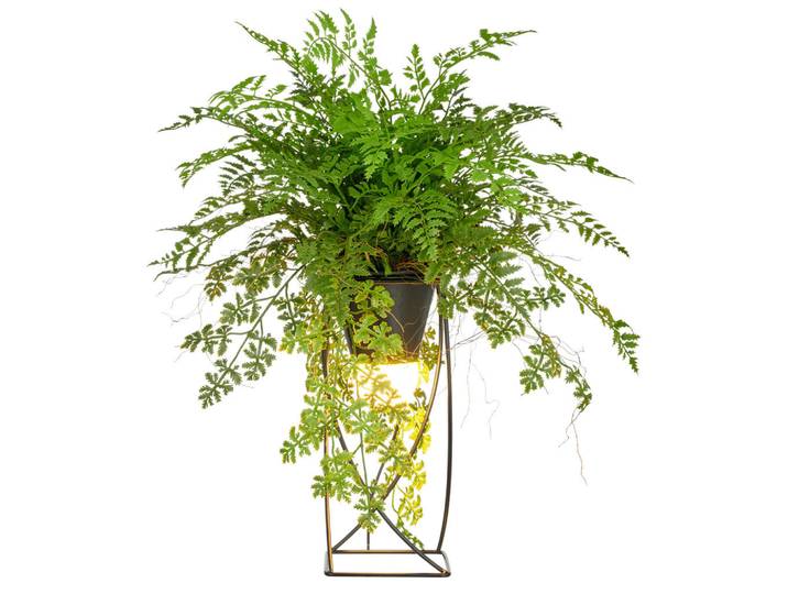 Kunstpflanze, Grün, Schwarz, Kunststoff, 60 cm, inkl. Topf, LED-Beleuchtung, Dekoration, Blumen & Blumentöpfe, Kunstpflanzen
