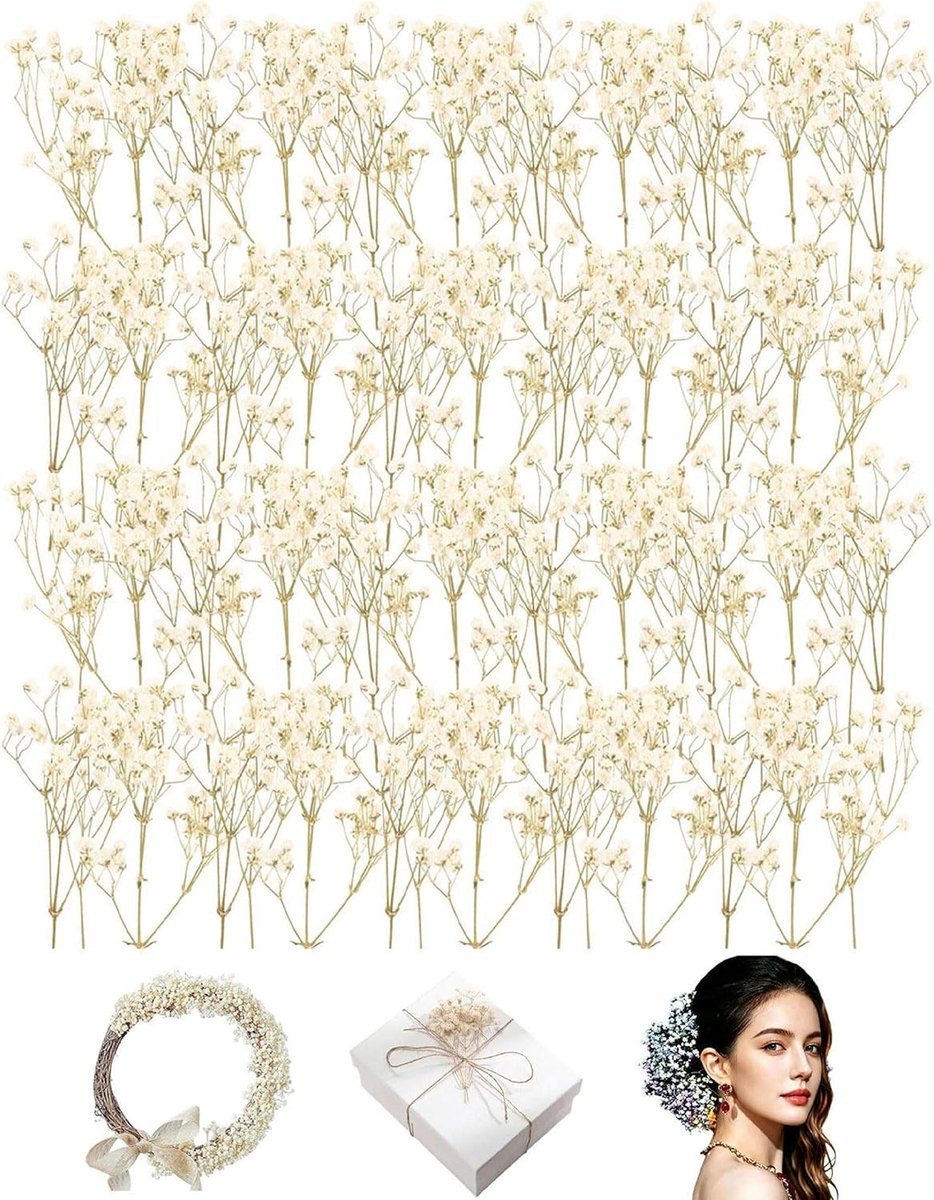 Witte gedroogde gypsophila bloemen voor decoratie en hars-handwerk