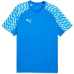 Puma teamLIGA 26 Trikot Herren - blau - M