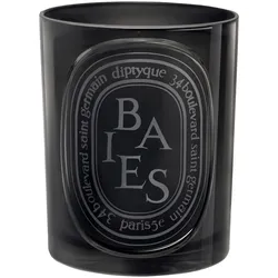 300g diptyque Black Candle Baies