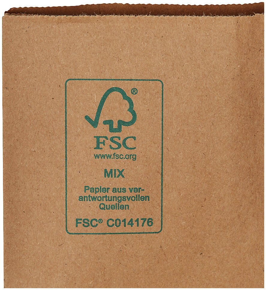 Papiertragetasche, recyceltes Papier, braun, VE 250 Stk, LxBxH 220 x 105 x 360 mm, 70 g/m², ab 5 VE ratioform terra