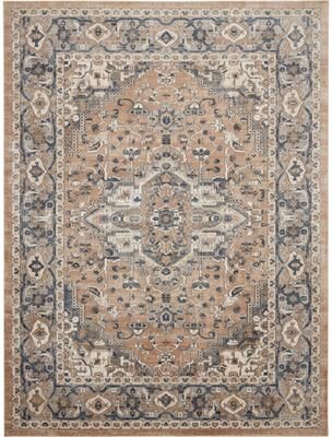 Nourison Concerto Classic Persian Medallion Area Rug.