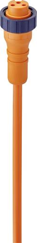 Lumberg Automation 11173 Sensor-/Aktor-Steckverbinder, konfektioniert 7/8" Kupplung, gerade 2.00m Polzahl Sensoren: 2+PE 1St.