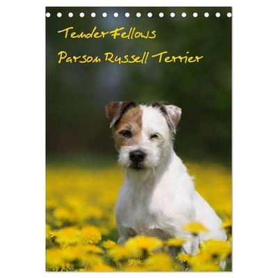 Tender Fellows - Parson Russell Terrier (Tischkalender 2027 DIN A5 hoch), CALVENDO Monatskalender