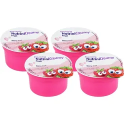 Nutrini Creamy Fruit Beerenfrüchte