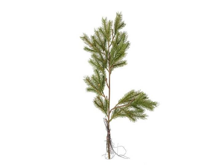 Bloomingville kunsttak Pine