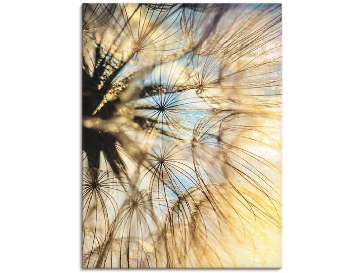 Leinwandbild ARTLAND Pusteblume Poesie , gold (farbe bild(er): goldfarben), B:45cm H:60cm, Bilder, Leinwandbild, auf Holzrahmen gespannt