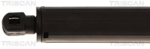 Triscan Gasfeder, Koffer-/laderaum 8710 84301 Für Byd