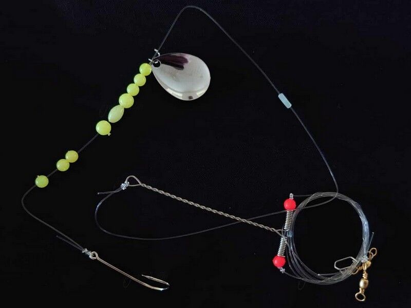 Twills Pighvar-Rig 104