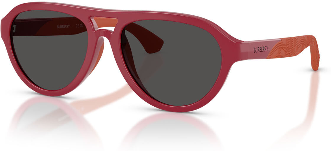 Lunettes de soleil Burberry JB 4005U (418187)