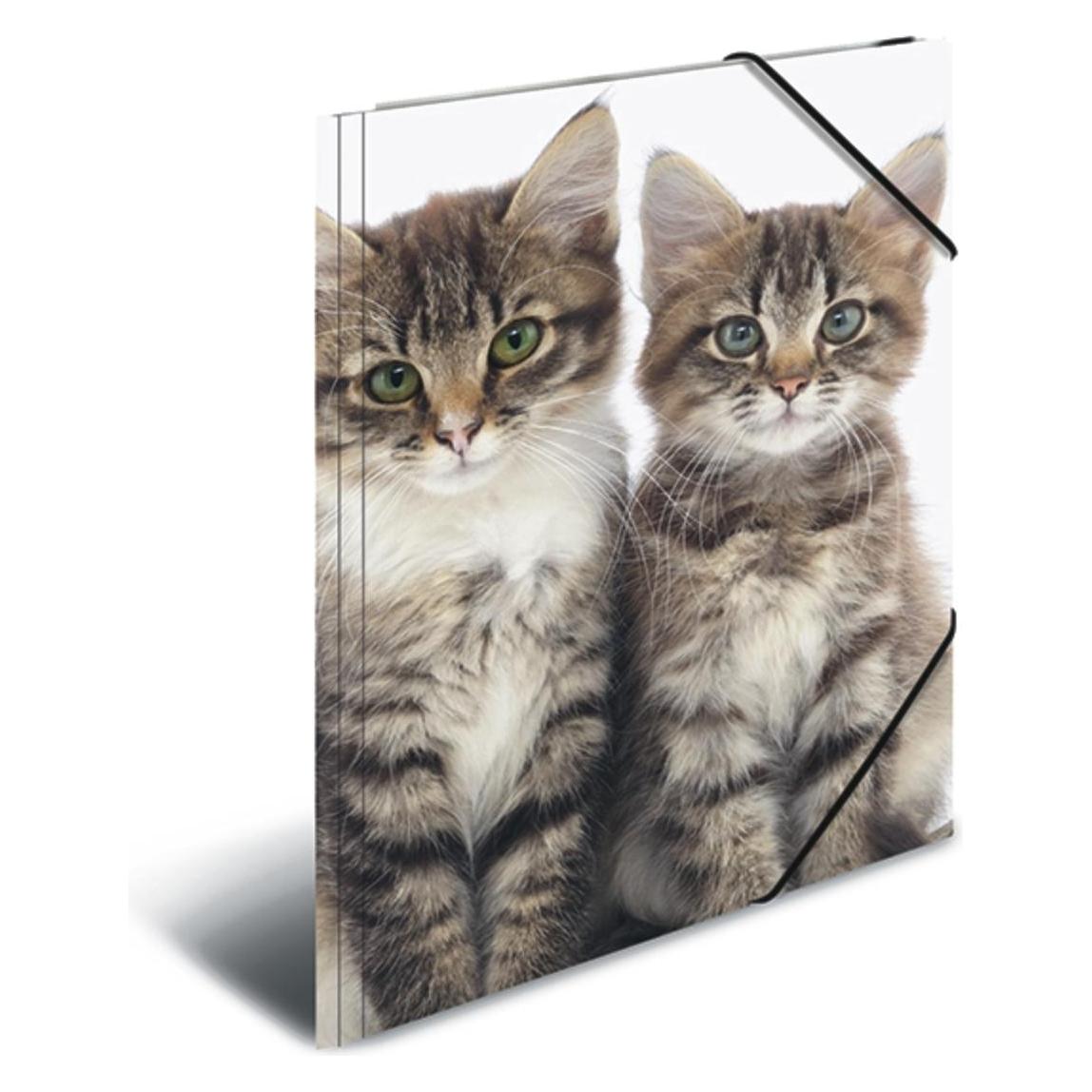 Herma 3 Zeichenmappen DIN A3 Katzen (A3, 3x) (7143)