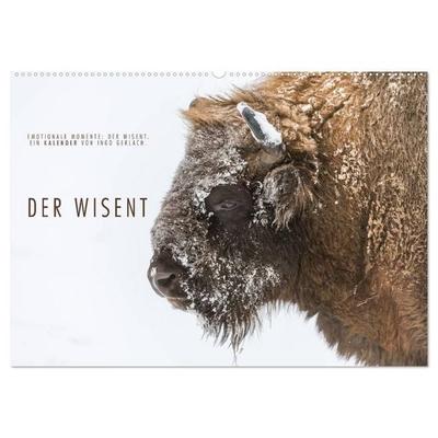 Emotionale Momente: Der Wisent. (Wandkalender 2027 DIN A2 quer), CALVENDO Monatskalender