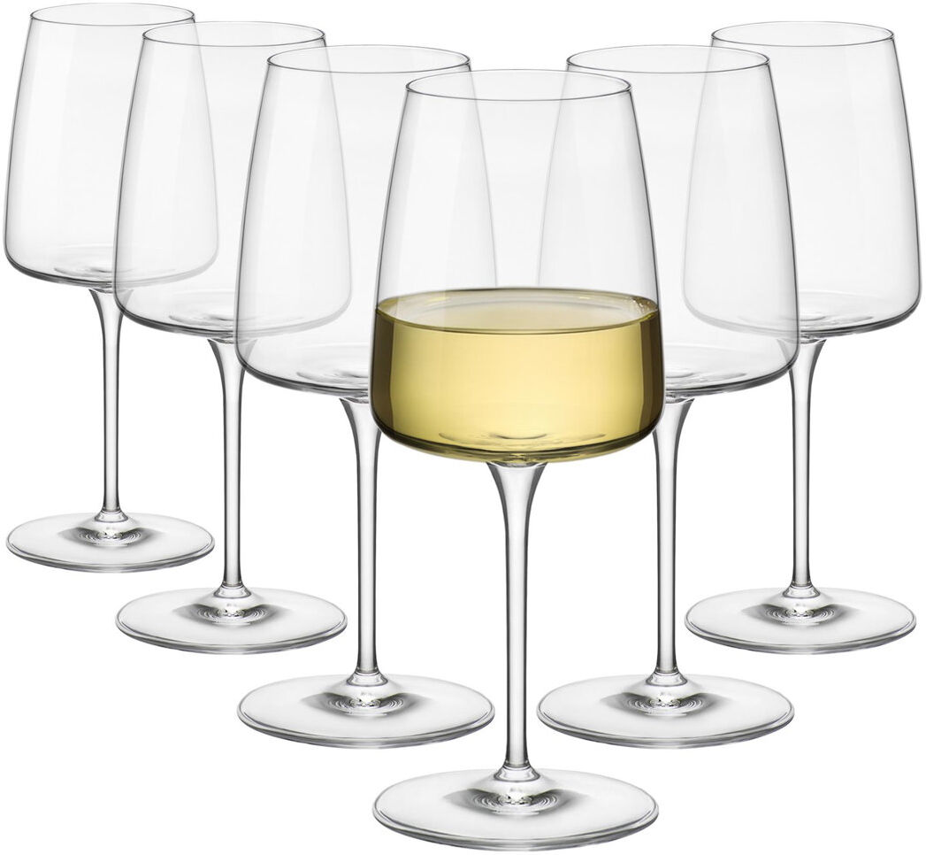 Bormioli Rocco Wine Glass Clear 450 ML/12