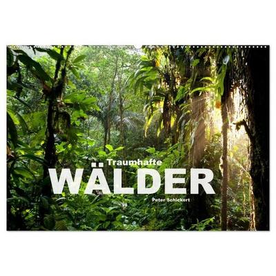 Traumhafte Wälder (Wandkalender 2027 DIN A2 quer), CALVENDO Monatskalender