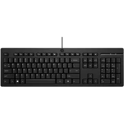 HP 125 Wired Keyboard (DE, Kabelgebunden), Tastatur