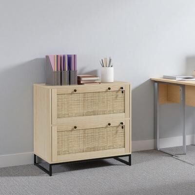 VIVIADORE 2 Drawer Rattan File Cabinet with Locking Storage,Vertical Office Filing Cabinet with Adjustable Hanging Rails