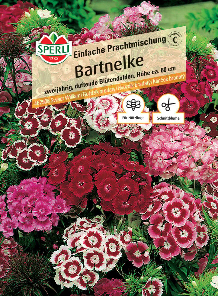 Sperli Bartnelke Einfache Prachtmischung