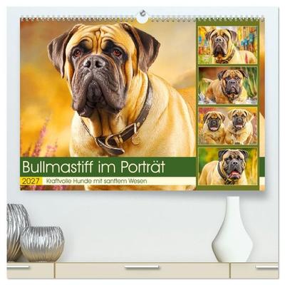 Bullmastiff im Porträt. Kraftvolle Hunde mit sanftem Wesen (hochwertiger Premium Wandkalender 2027 DIN A2 quer), Kunstdruck in Hochglanz