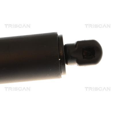 TRISCAN Gasfeder, Koffer-/Laderaum 8710 84301 für BYD