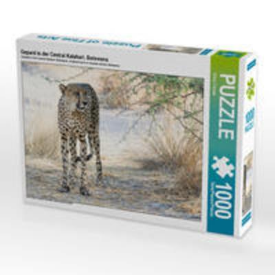 CALVENDO Puzzle Gepard in der Central Kalahari, Botswana 1000 Teile Lege-Größe 64 x 48 cm Foto-Puzzle Bild von Silvia Trüssel