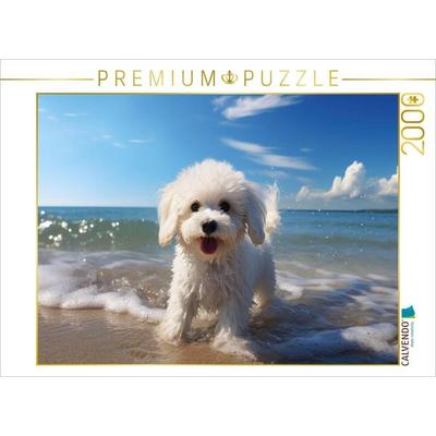 CALVENDO Puzzle Ein Motiv aus dem Kalender 'Bichon frisé, weiße Hündchen mit lockigem Haar' | 2000 Teile Lege-Größe 90x67cm Foto-Puzzle für glückliche