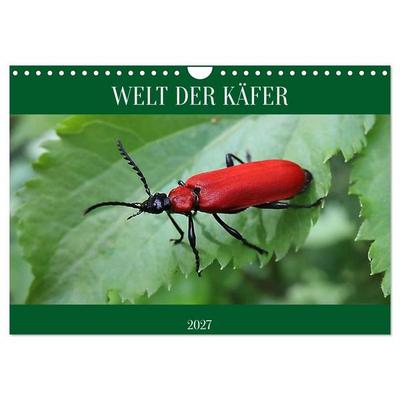 WELT DER KÄFER (Wandkalender 2027 DIN A4 quer), CALVENDO Monatskalender
