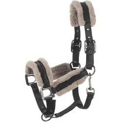Cavallo, Halfter