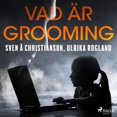 Vad är grooming - Sven Å. Christianson,Ulrika Rogland, Audio, 9788711954607