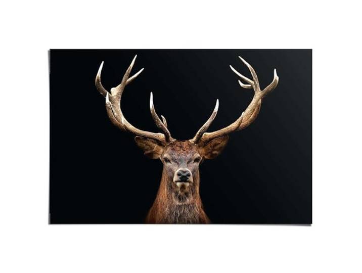 REINDERS Poster, Hirsch, Küche, Poster, Wanddeko, Room Decor, Bilderdruckpapier, Braun, 61 x 91,5