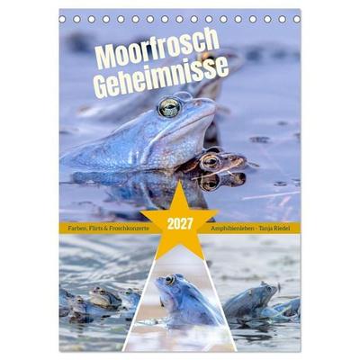 Moorfrosch Geheimnisse – Farben, Flirts & Froschkonzerte - Tanja Riedel (Tischkalender 2027 DIN A5 hoch), CALVENDO Monatskalender