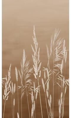 Veer Decor Willow Grass Wall Mural