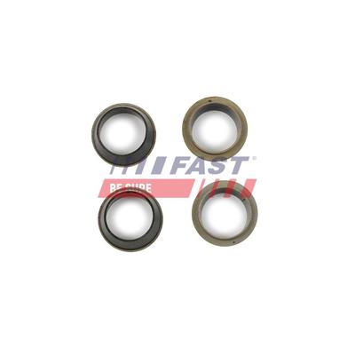 FAST Reparatursatz, Pumpe-Düse-Einheit ft49843 innen für Iveco Citroën