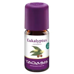 EUKALYPTUS ÖL Citriodora Bio 5 ml