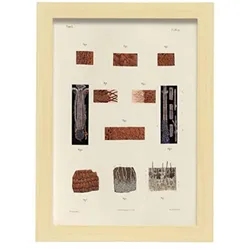 POSTER Medizinische Illustrationen – Haarfollikel A4 Rahmen Aus Hellem Holz