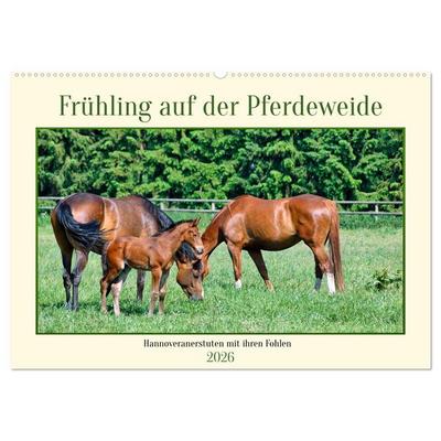 Frühling auf der Pferdeweide (Wandkalender 2026 DIN A2 quer), CALVENDO Monatskalender