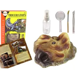 Lernset zur Ausgrabung von Triceratops-Dinosauriern