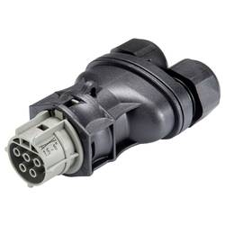 Wieland Electric 99.584.0000.7 Steckverbinder