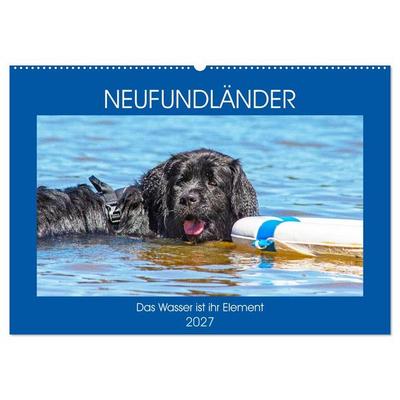 Neufundländer - Das Wasser ist ihr Element (Wandkalender 2027 DIN A2 quer), CALVENDO Monatskalender