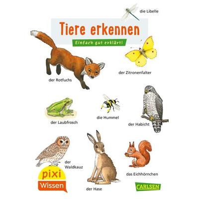 Pixi Wissen 30: Tiere erkennen, Taschenbuch von Hanna Sörensen, Carlsen, 978-3-551-24218-1