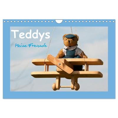 Teddys Meine Freunde (Wandkalender 2026 DIN A4 quer), CALVENDO Monatskalender