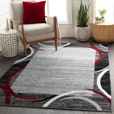 Paco Home Modern Area Rug for Living Room Classic Design with Border