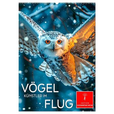 Vögel - Künstler im Flug (Wandkalender 2026 DIN A2 hoch), CALVENDO Monatskalender