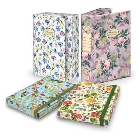 Pigna Pack 6 Mappen 3 Klappen Elastisch (6x) (02303643L)